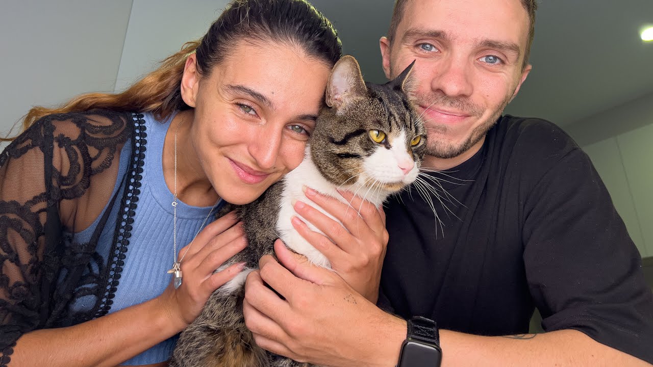 This Was Hard! Moving My Cat To Australia
