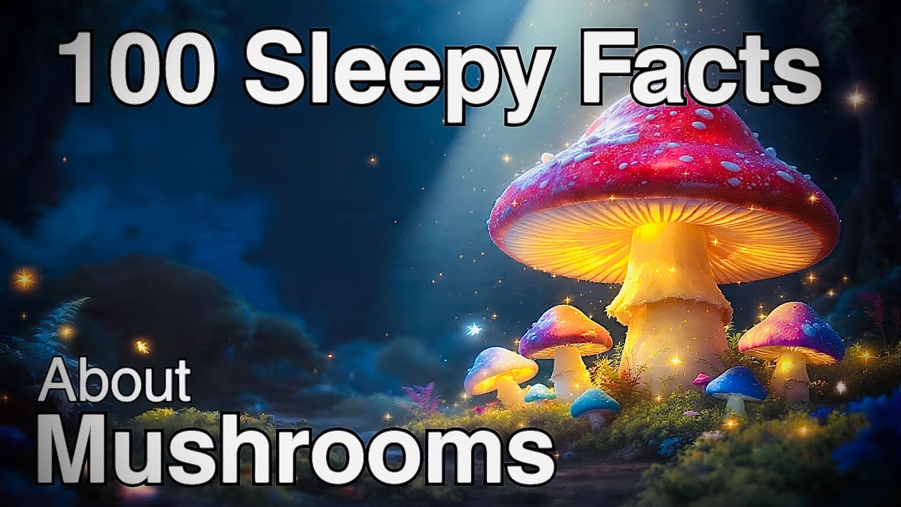 The Most Relaxing Facts About Mushrooms - Relaxing Science to Fall Asleep