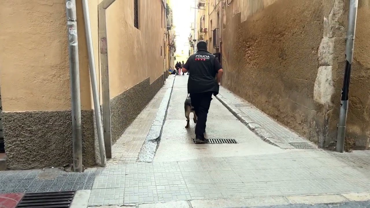 Operación en marcha de los Mossos d'Esquadra en Valls contra el tráfico de drogas