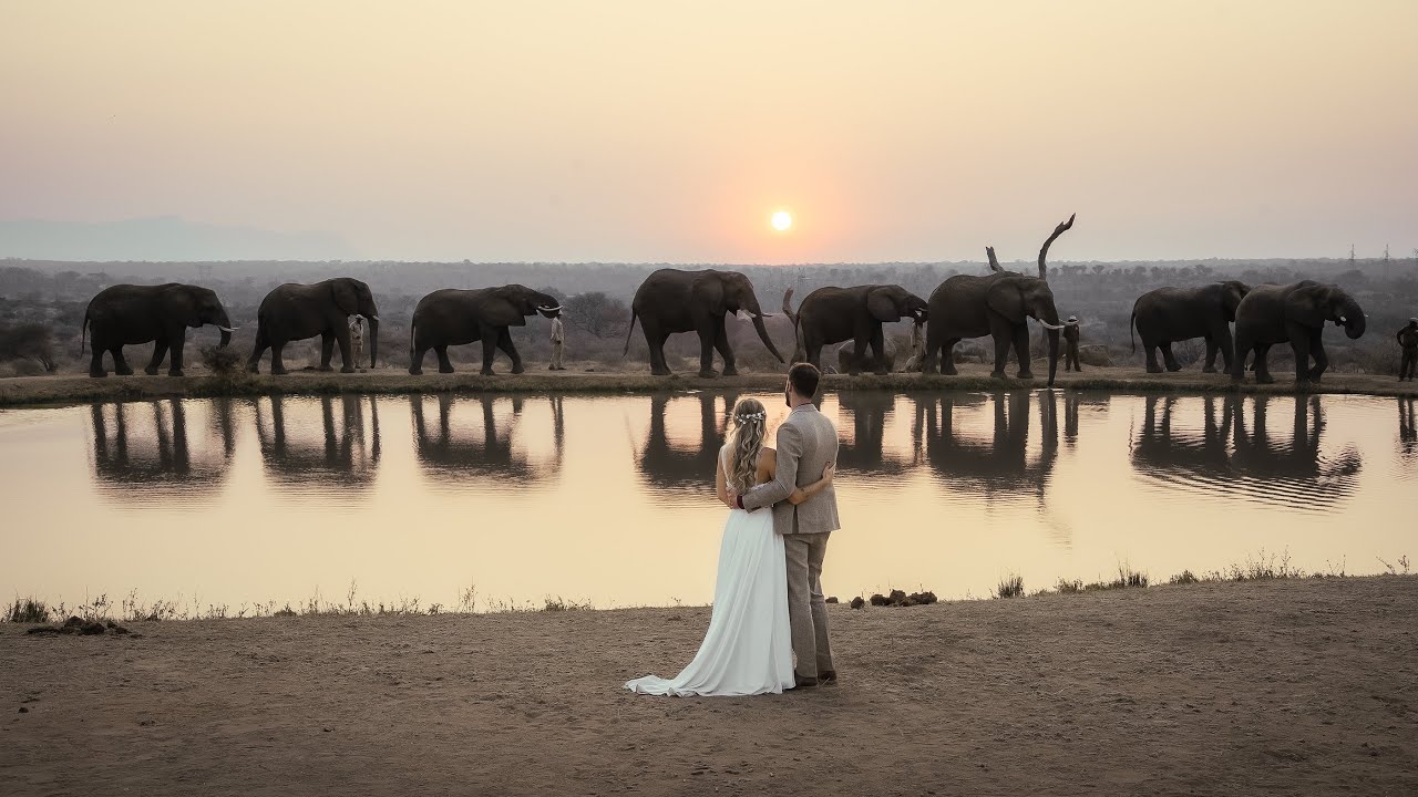 Luxury Destination Elopement on Safari in South Africa