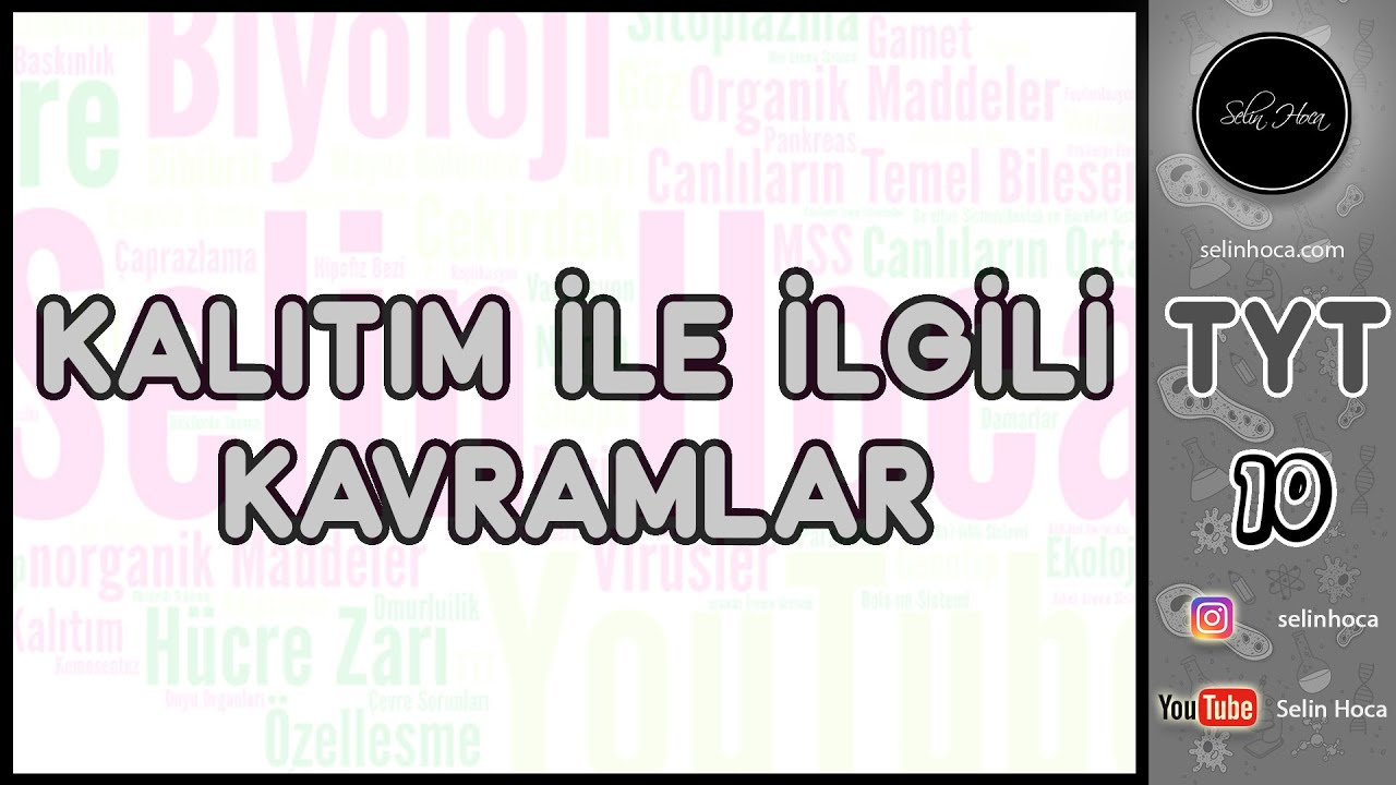 8) Kalıtım İle İlgili Kavramlar