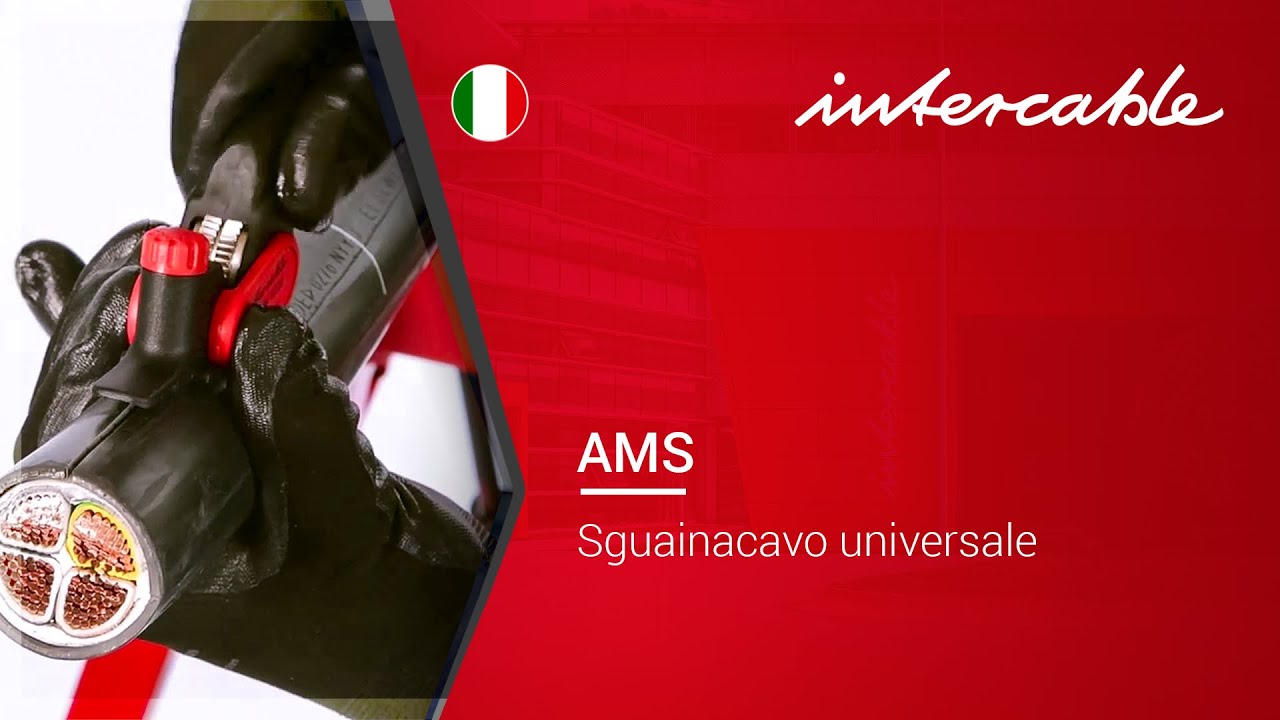 Applicazione: AMS Sguainacavo universale - INTERCABLE