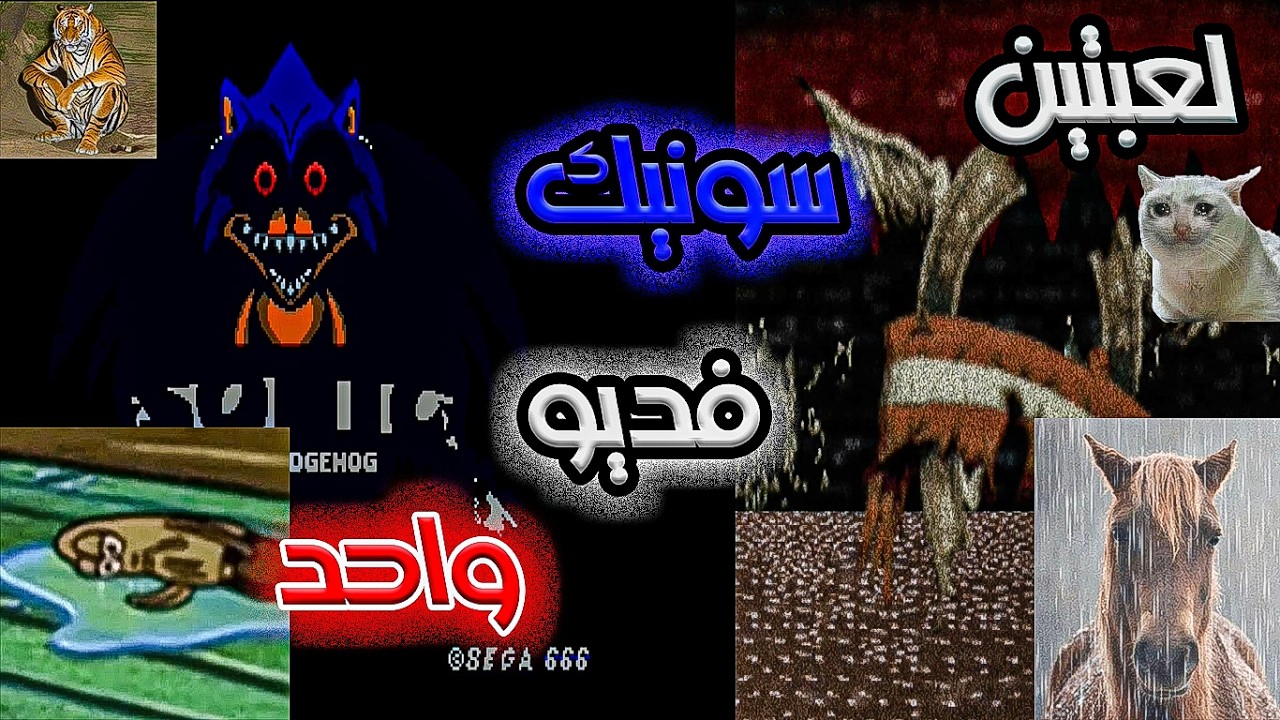 لعبتين سونيك بفديو واحد!!المضرطة الجديدة Zonic.exe-Sonic2005