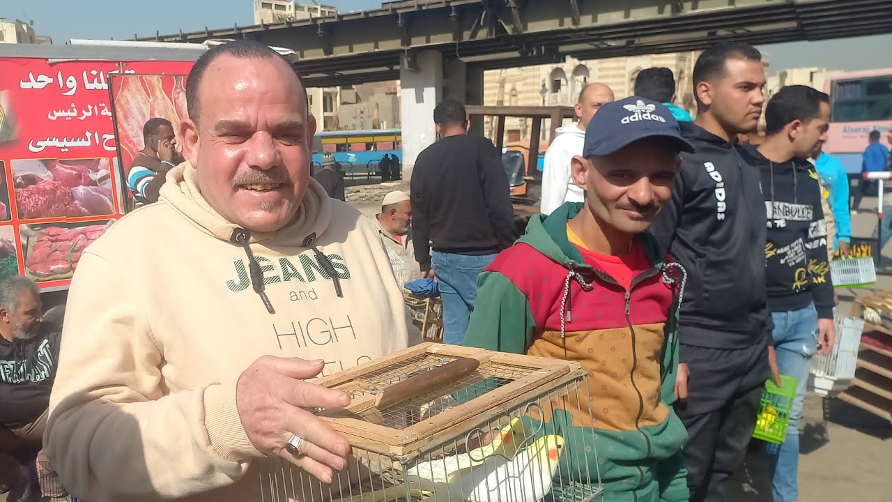 مفاجآت سوق الأحد اليوم خارج التوقعات ⁉️لم عصافير وبيع وشراء بشكل حلو💚وأسعار العصافير بأرقام اصحابها💯