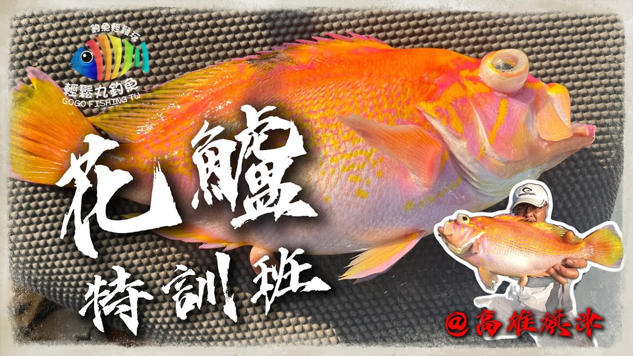 【EP67 花鱸特訓班】一隻五十萬的魚??? 藍藍的天~ 橘橘的魚~ ....敲底其實很多種! …By 釣魚輕鬆玩 #船釣 #敲底 #艇釣