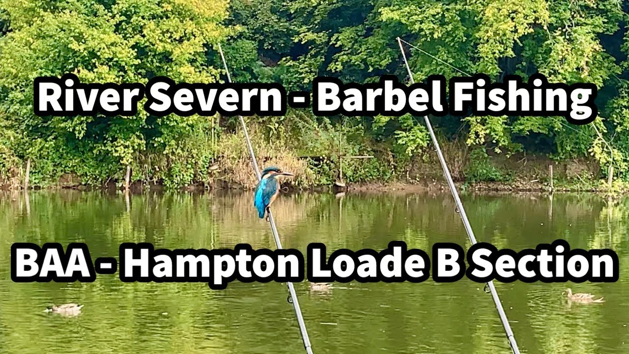 Ловля усача и голавля на реке Северн в BAA Hampton Loade B Section EP15
