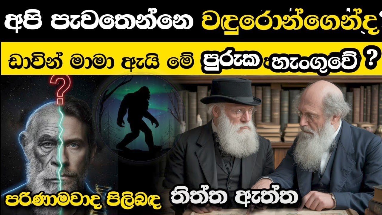 අපි පැවතෙන්නෙ ඇත්තටම වඳුරන්ගෙන්ද ? 🐒 | චාල්ස් ඩාවින් සැගවූ රහස 🤯 | The Truth About Evolution | #Bio