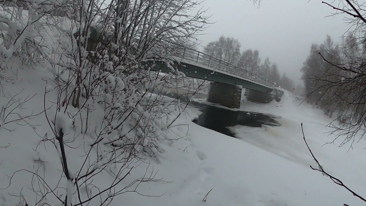 Minkkiloukun tarkistus ja siirto
