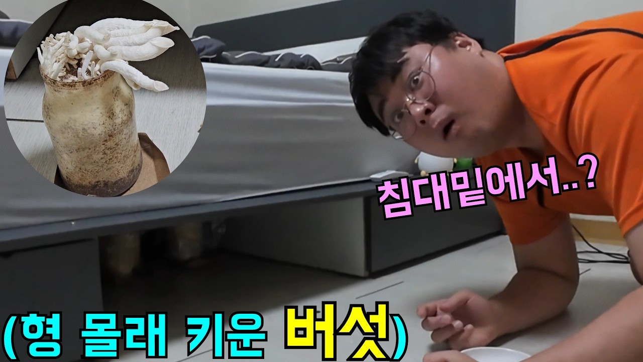 형 침대 밑에 몰래 버섯 키우기ㅋㅋㅋ