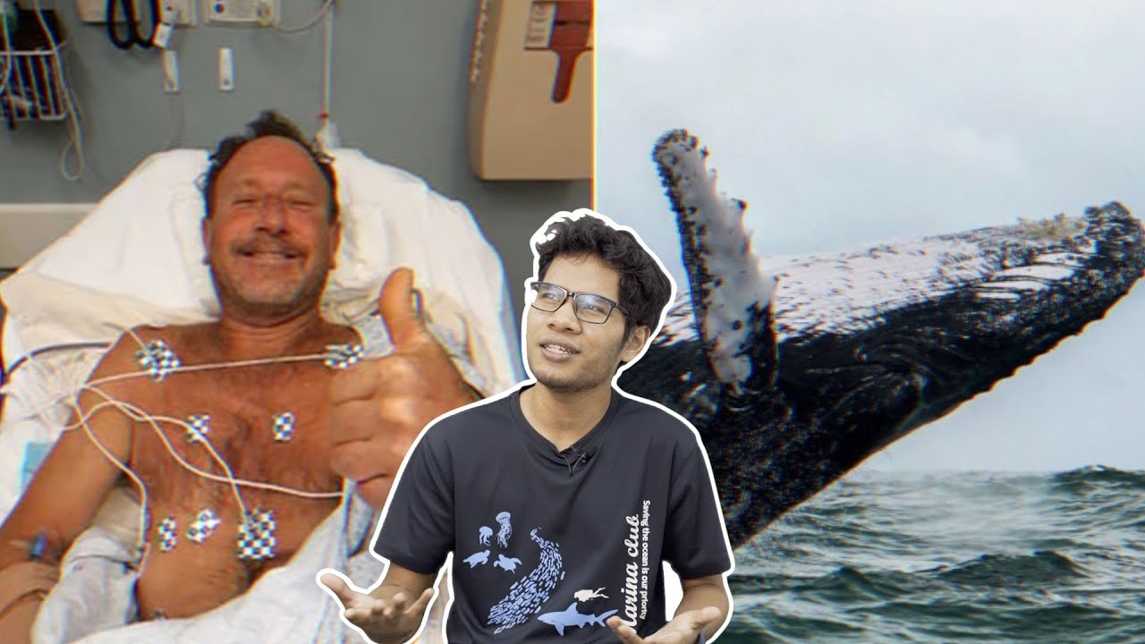 Mamat Ni Kena Telan dengan Ikan Paus