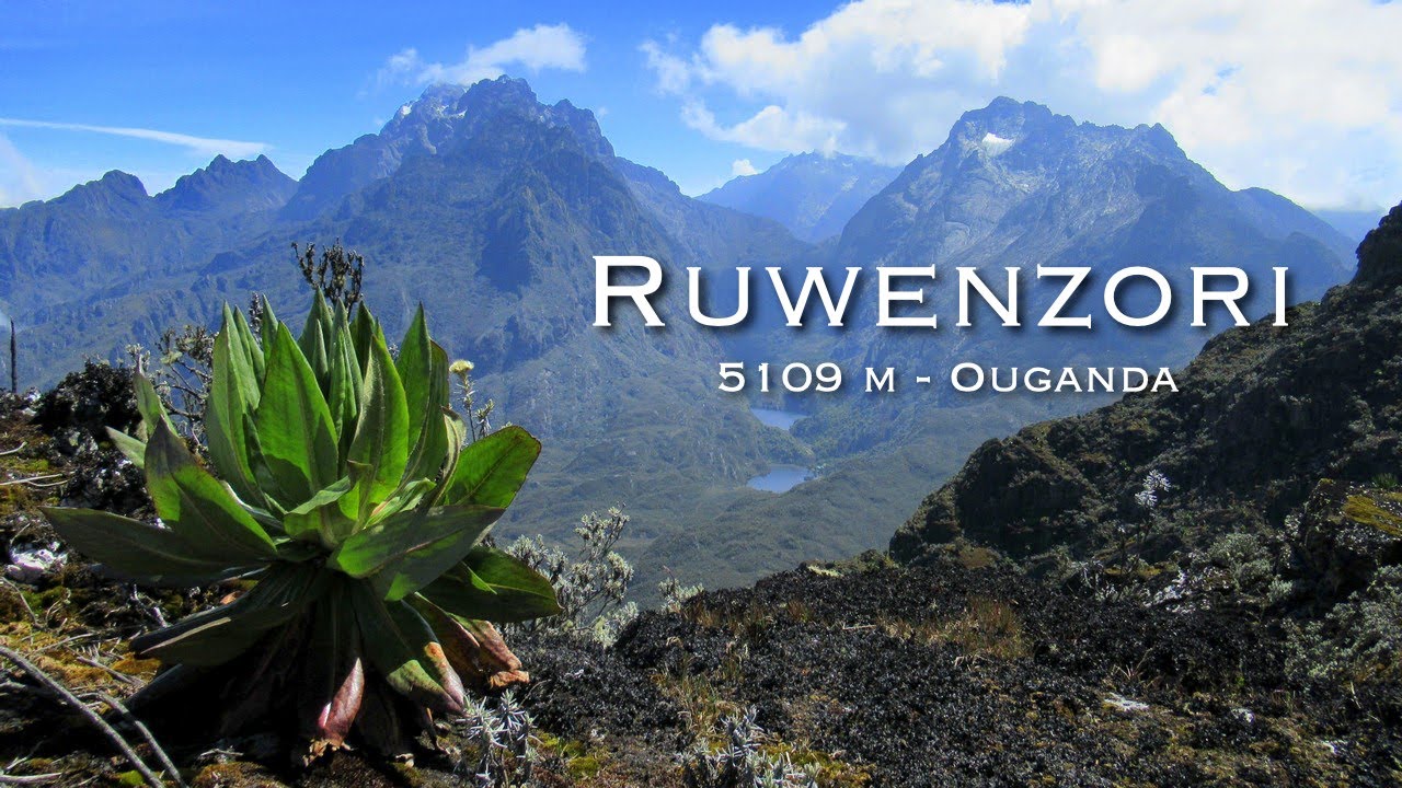 Expedition : RUWENZORI (5109 m) - Ouganda 🇺🇬