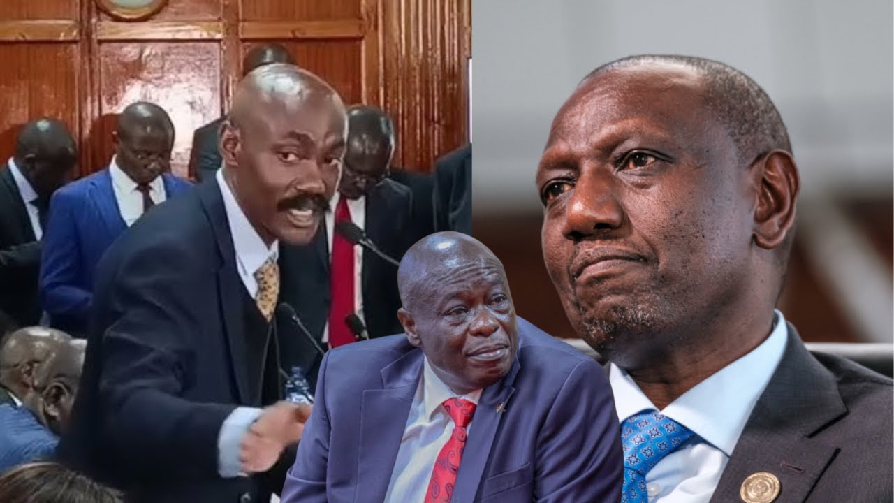 ''RUTO SHOULD BE ARRESTED!'' NO NONSENSE LAWYER ELISHA ONGOYA SILENCES JUDGES IN COURT.