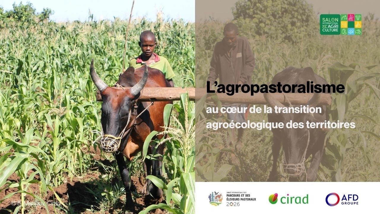 L’agropastoralisme au cœur de la transition agroécologique des territoires