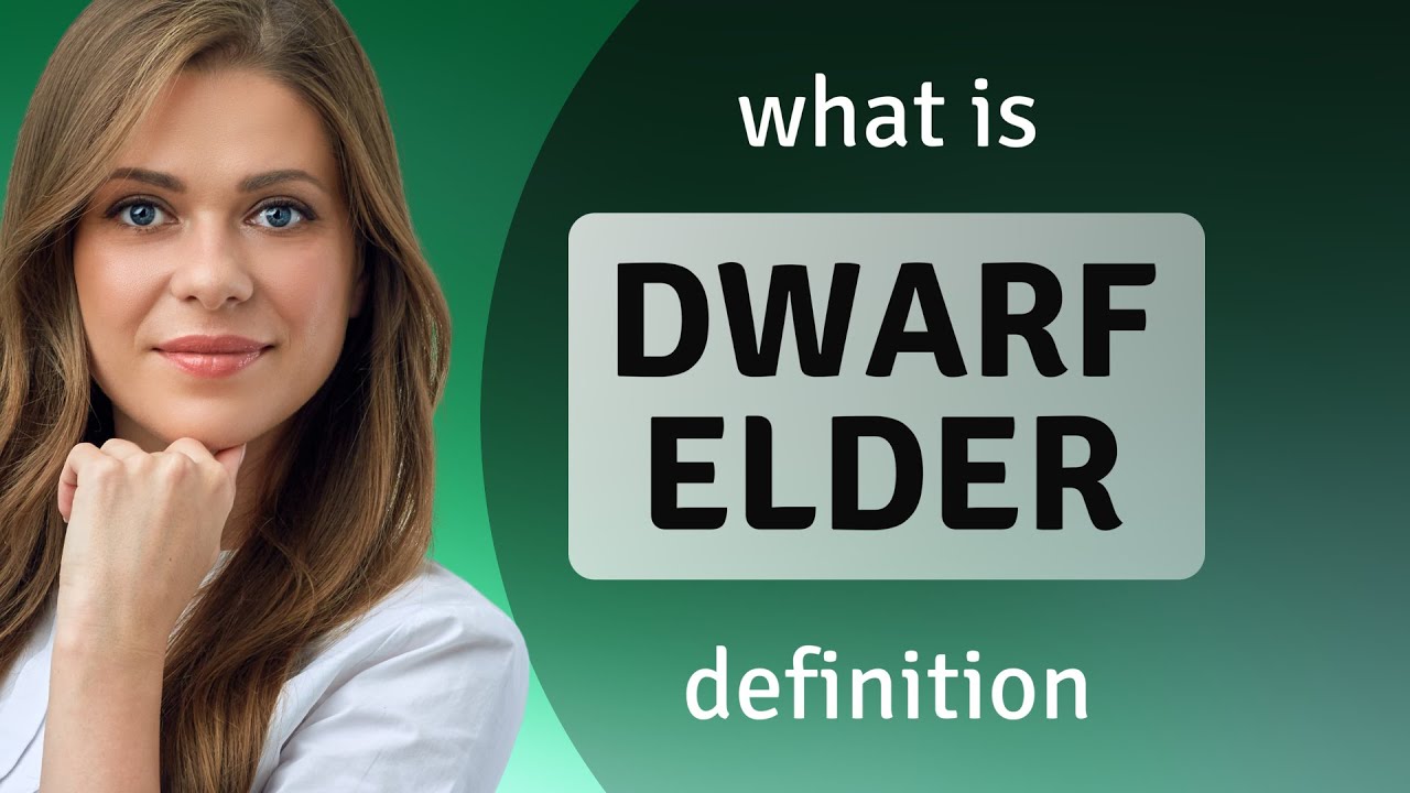 Dwarf elder | meaning of DWARF ELDER