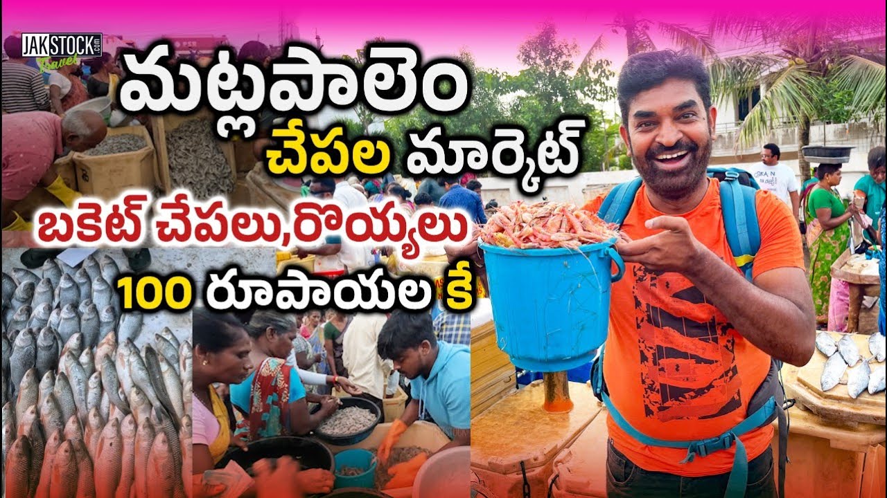 Matlapalem Fish Market | Bucket Fish Just Rs100 | Konaseema |SeaFood| AndhraPradesh |JakstockTravel