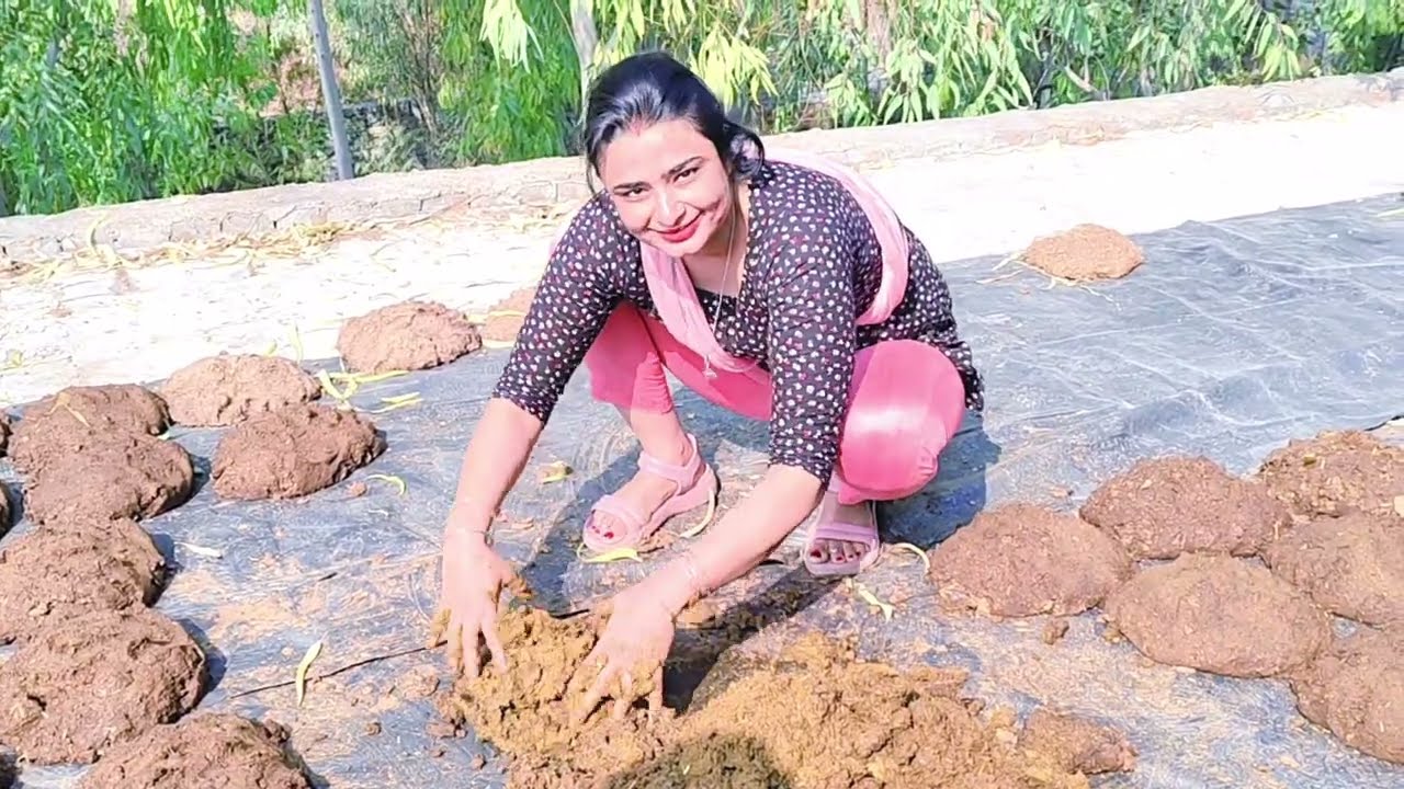 New cleaning vlog Punjabi girl #cleaningvlognew #cleaning#cowmilking#villagelifestyle #housecleaning