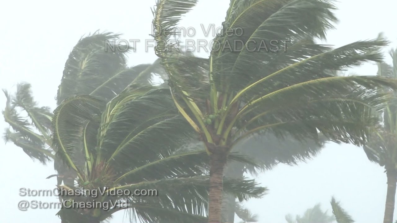 Fort Pierce Power flashes High Winds - 10/6/2016