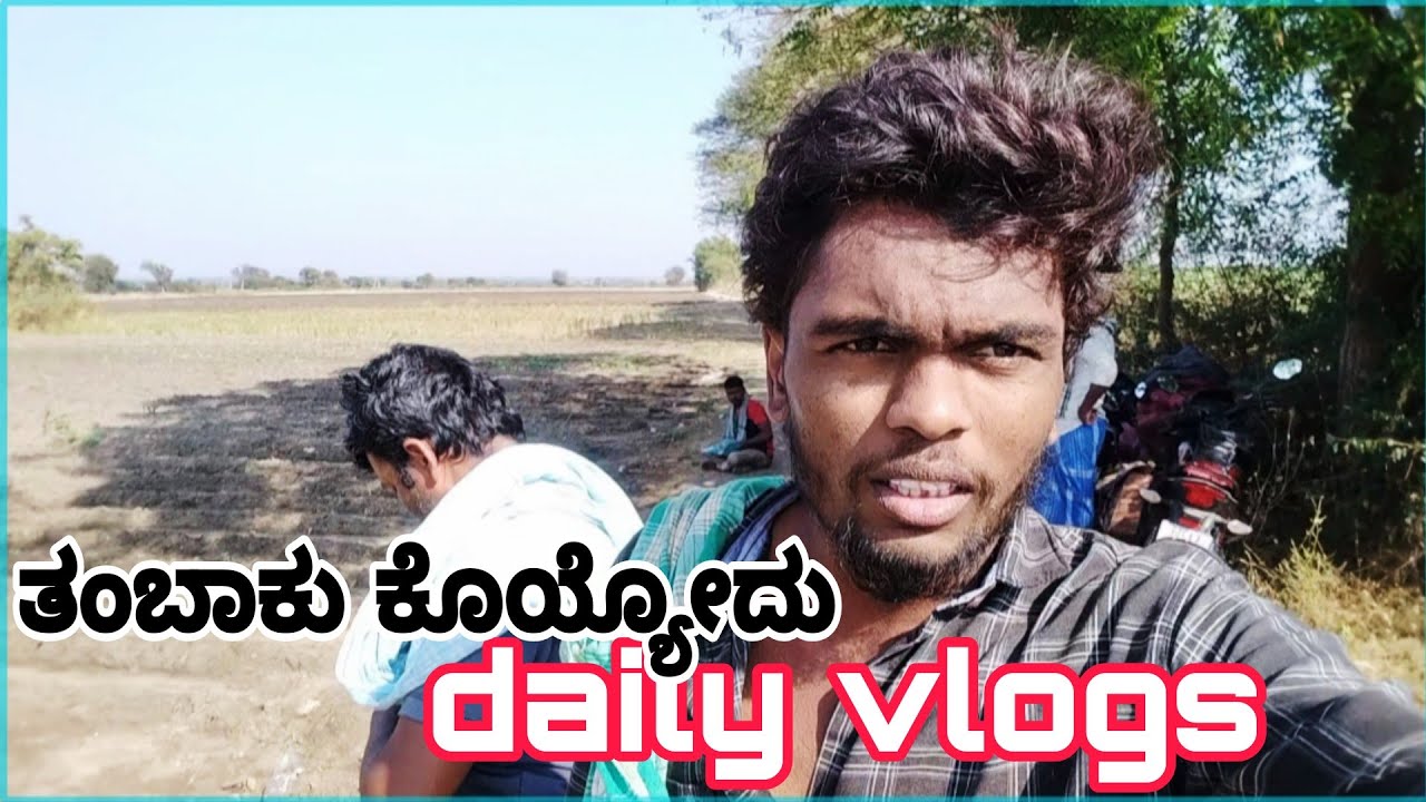ತೊಂಬಾಕು ಕೊಯ್ಯೋಕೆ ಹೋಗಿದ್ದೆ 👍