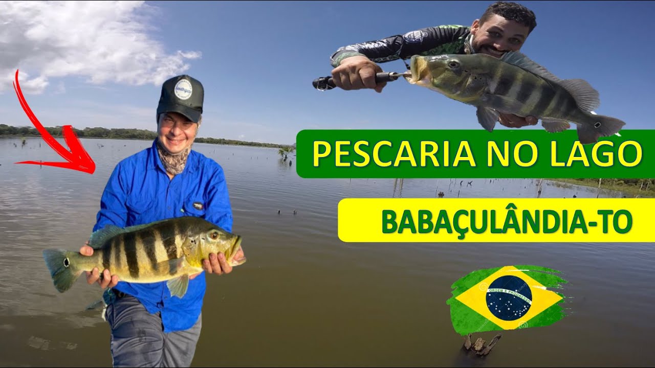 PESCARIA EM BABAÇULÂNDIA - PESCA ESPORTIVA - TUCUNARÉ AZUL (BABACULANDIA - TO)
