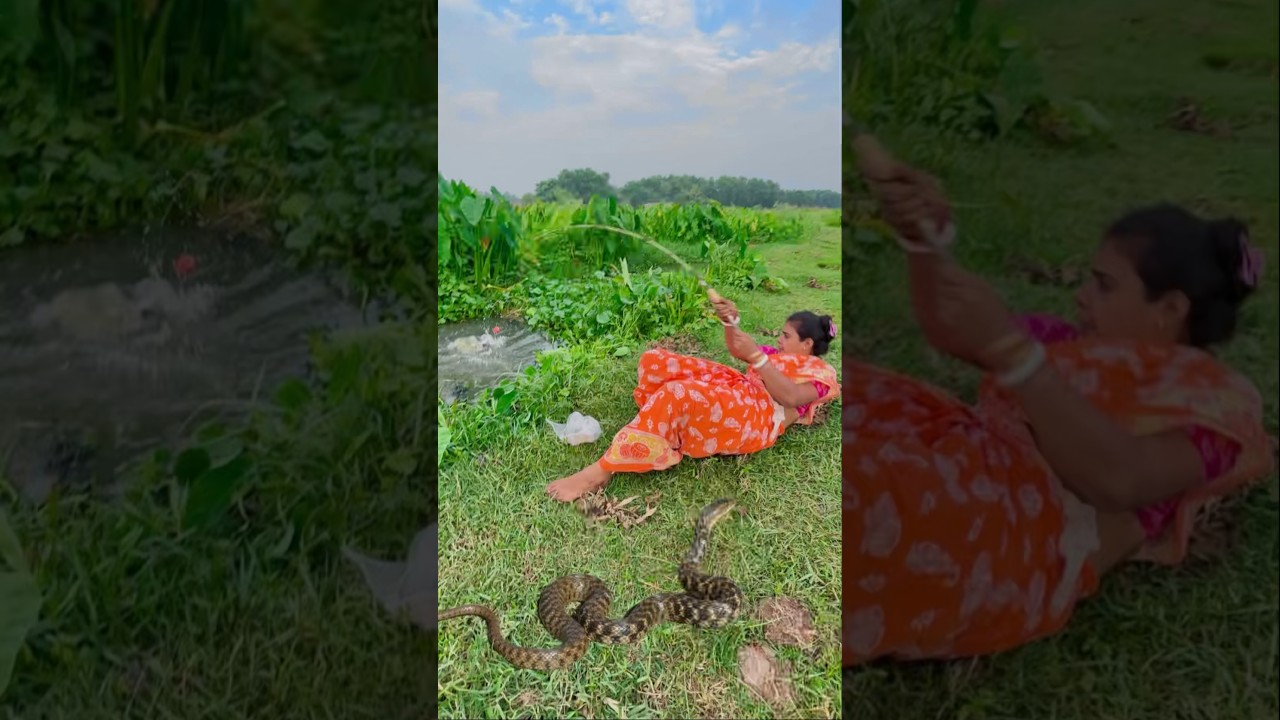 Village Fishing Video🎣🎣| The Lady Amazing Hook Fishing in Village canal #fishingmethods #snake #fish