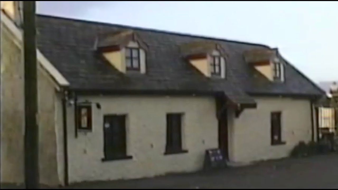 The Castlegregory Wren's Day Program from 1980