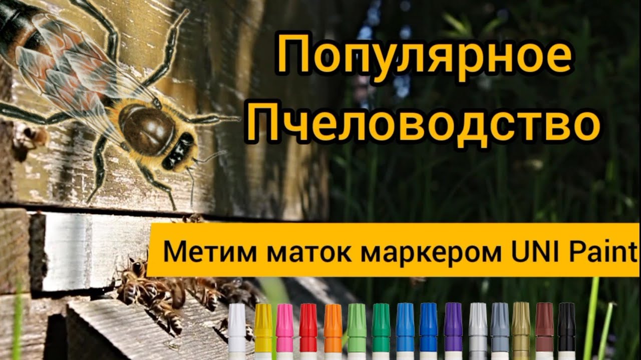 Чем метить пчелиных маток? / О японских маркерах  UNI / Китайская трубка 