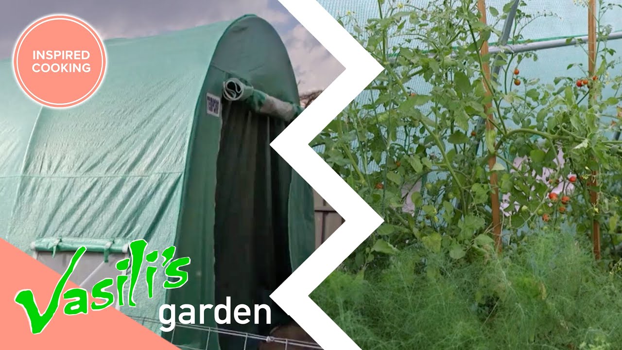 Vasili Inspects An Ebay Bought Green House! | Full Episode | Vasili's Garden