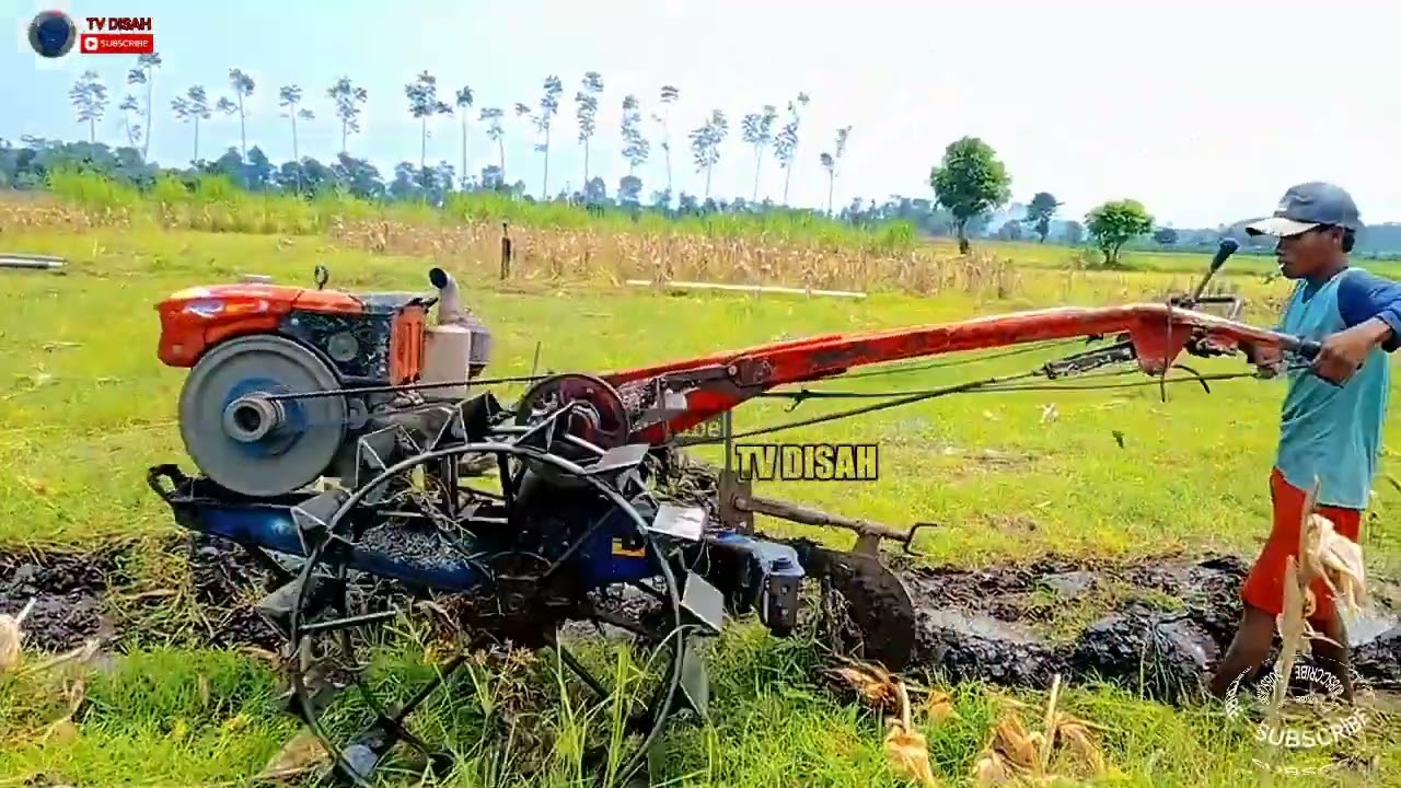 Ditinggal pulang joki traktor sawah nyingkal sendirian quick Kubota RD 85 DI 2T