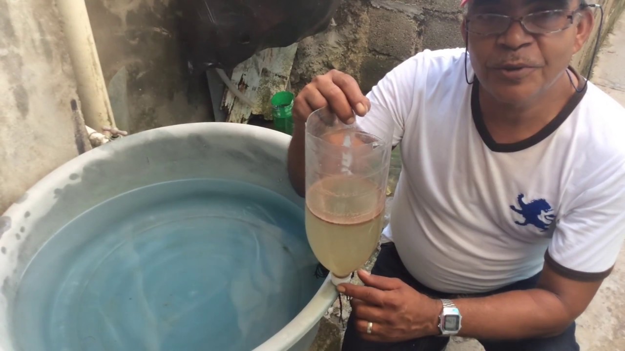 Reproducción Artemia Salina, ¿Es posible?