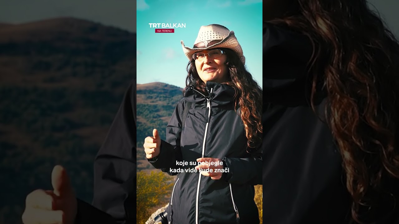 Wildpferde in Gefahr - TRT Balkan