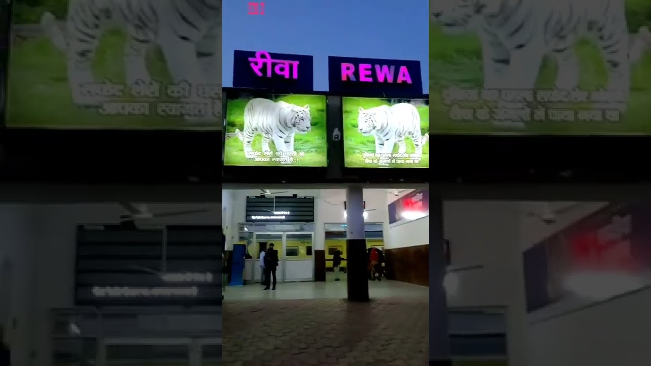 Rewa railway station Madhya Pradesh #myfirstvlog #abvlogs #railway #MadhyaPradesh