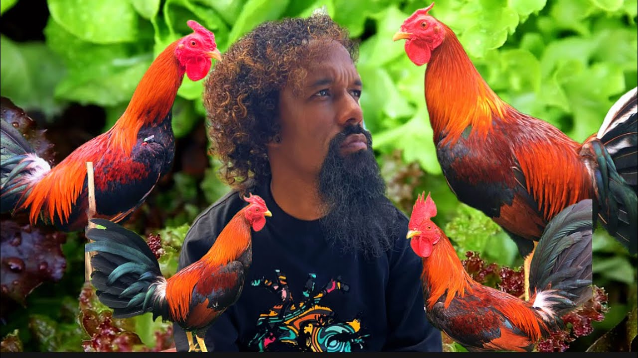 LOS MACHERO 