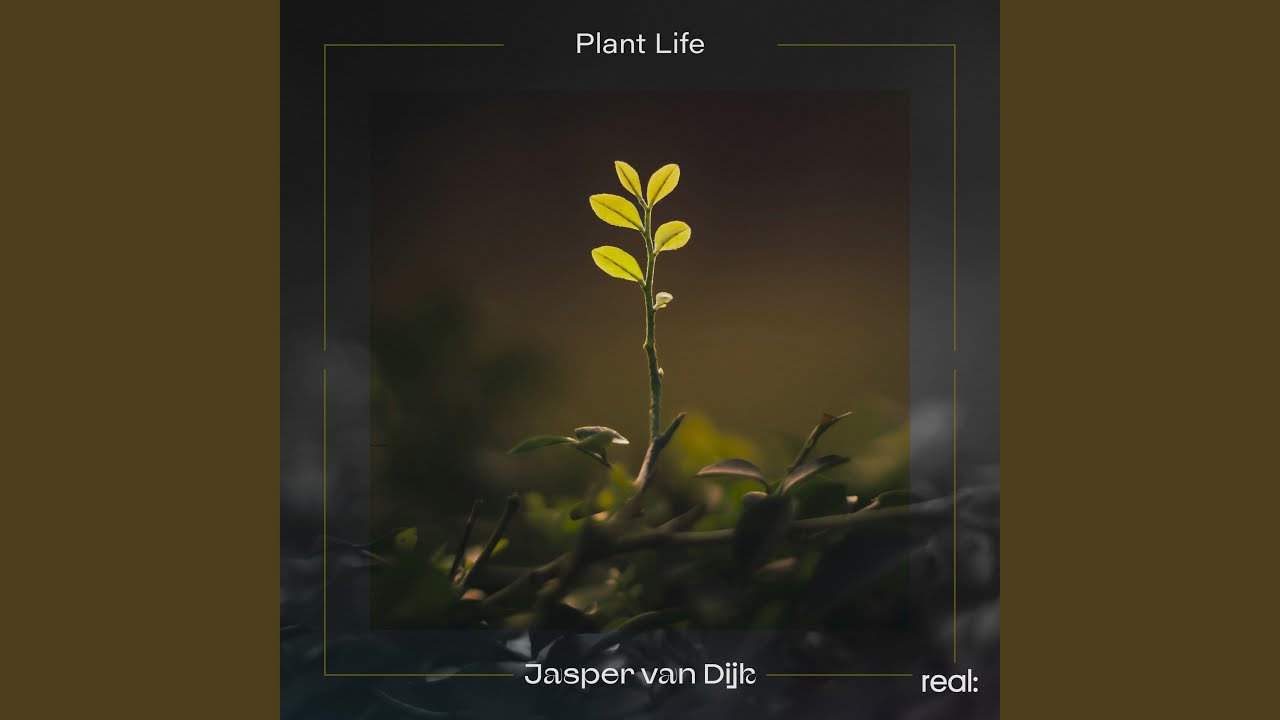 Plant Life