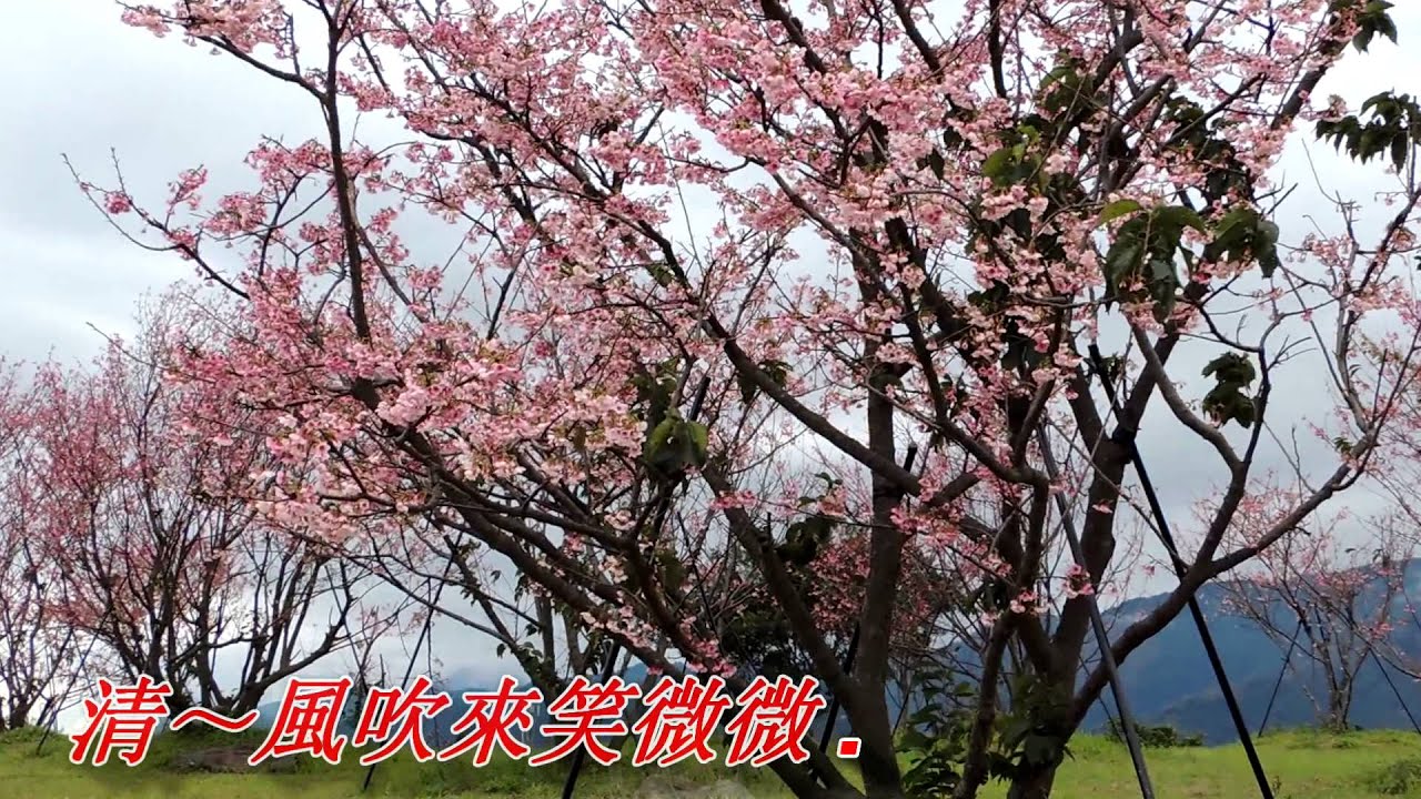 關仔嶺之戀(江蕙).mp4