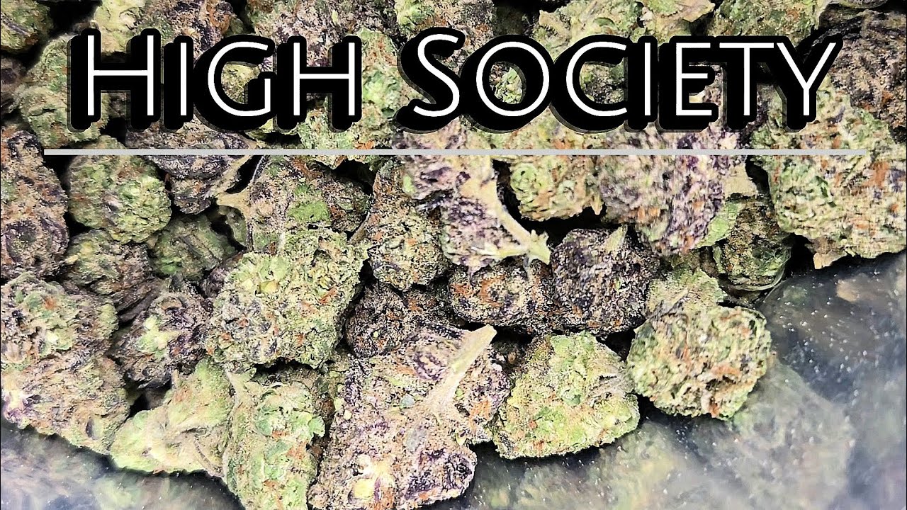THCA Small Buds | High Society Review | $34 Cheap Smalls Ounce | THCA Nation