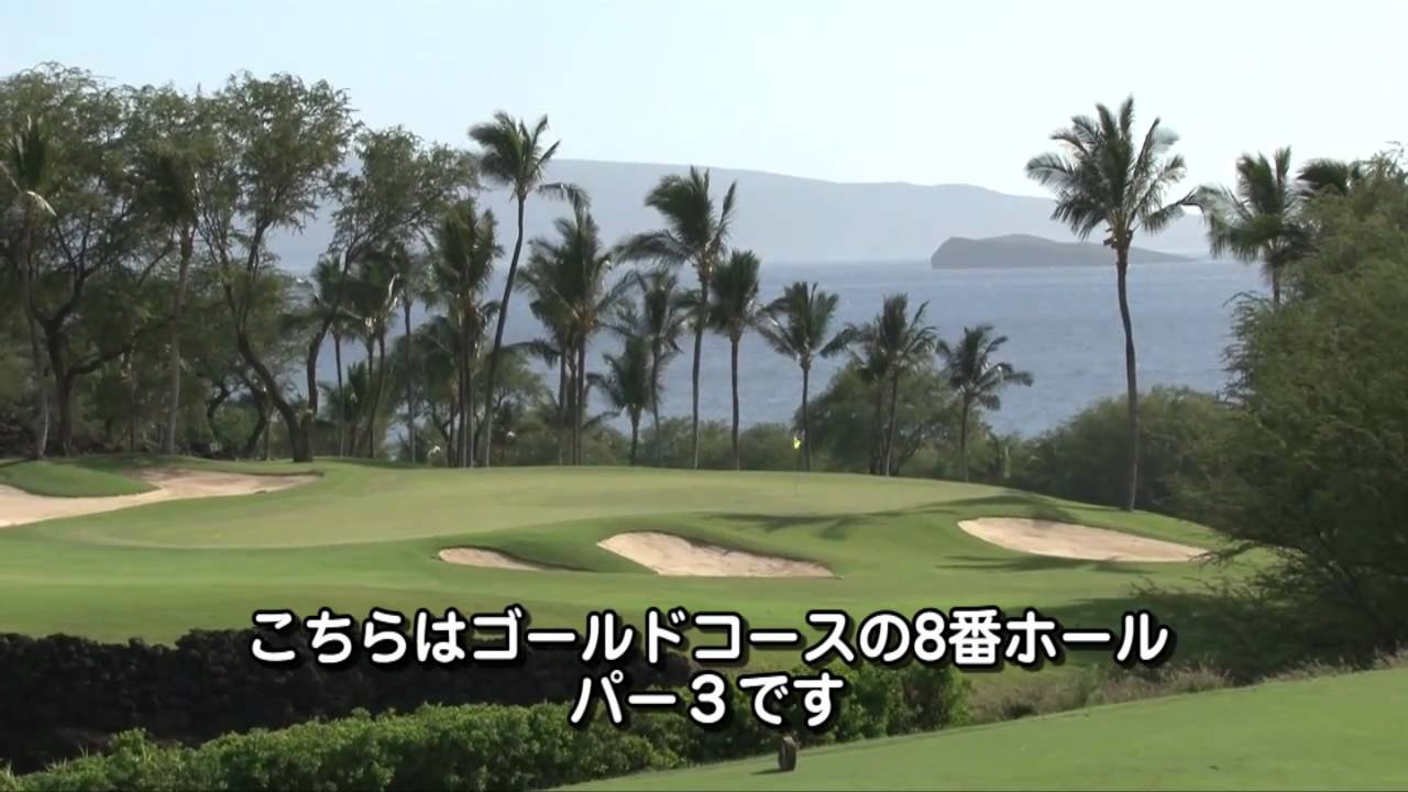 ワイレア･ゴルフ･クラブ (マウイ・リゾート) [マイハワイ]