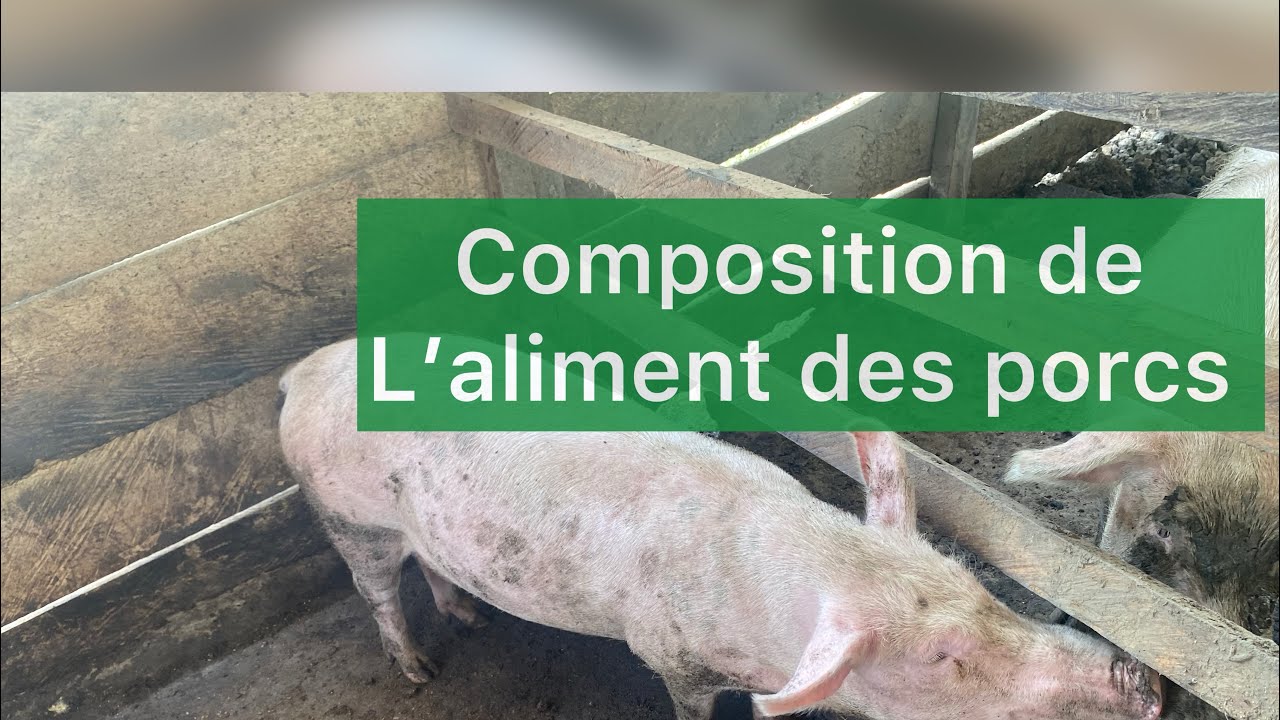 COMPOSITION D'ALIMENTS DES PORCS. Ma formule