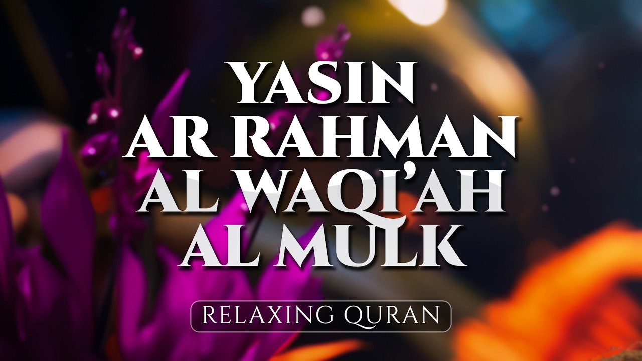 Best Relaxing Soothing Holy Quran, Surah Ar Rahman, Yasin, Al Mulk, Al Waqiah - ALAA AQEL