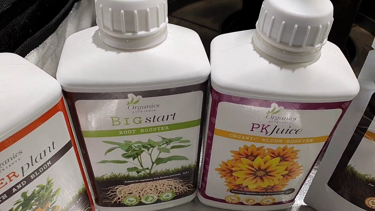 Organics Nutrients - Trial Run With Green Gelato #1