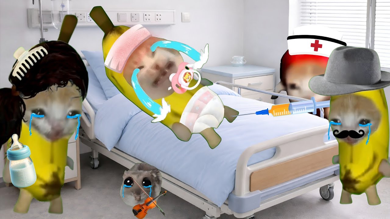 Подборка видео, где кот-банан плачет, недовольный #babybananacat #happycat #catmemes #bananacat