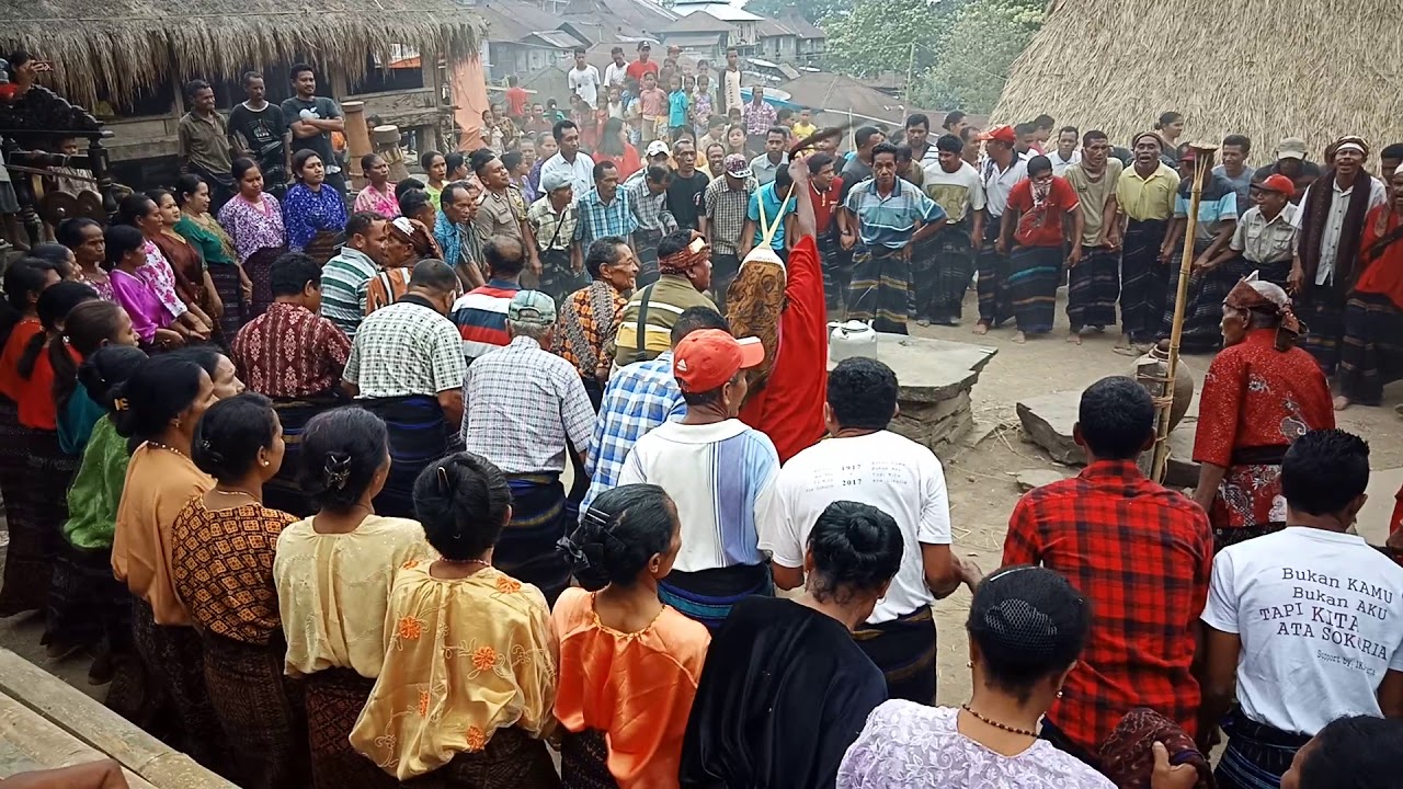 Gawi Sokoria (Ndona Timur)