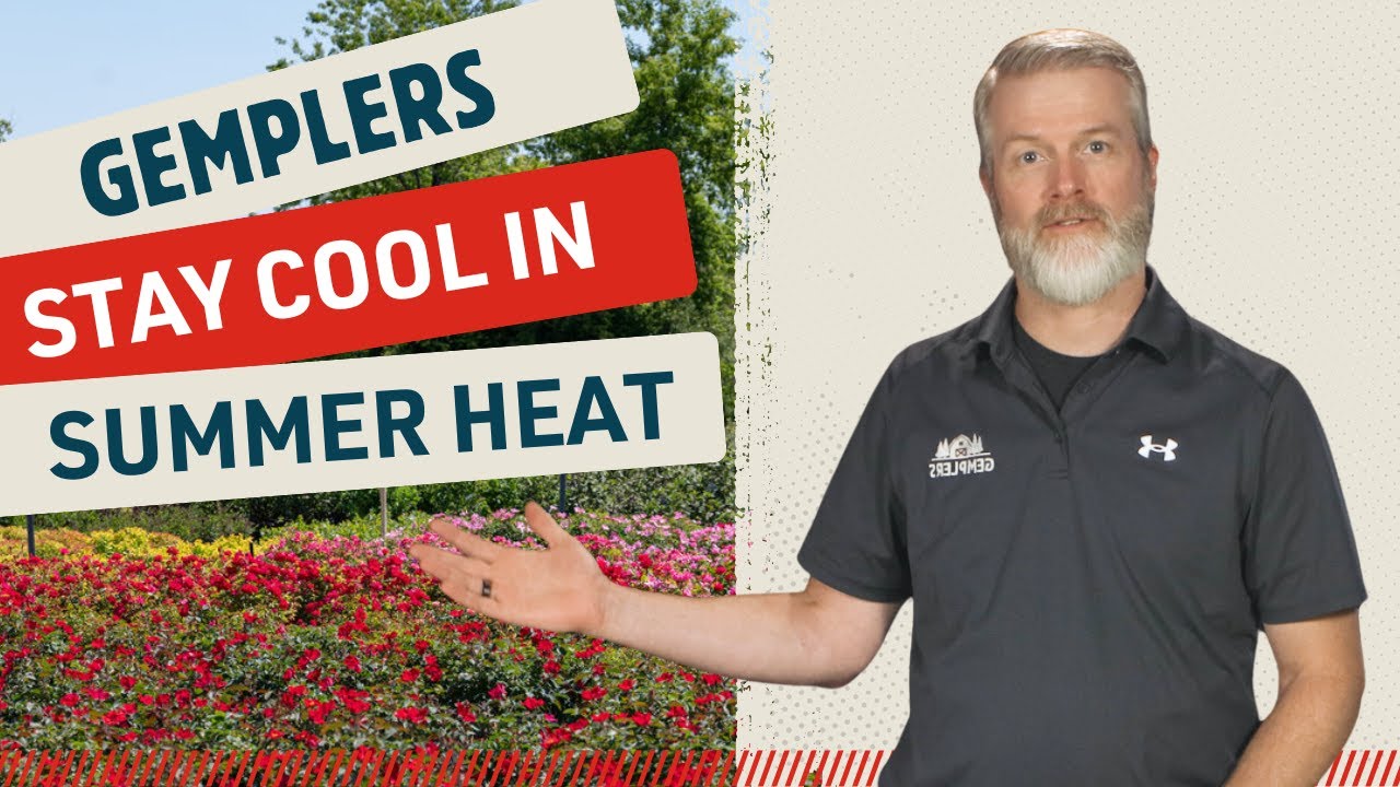 Tips to Stay Cool for Outdoor Jobs