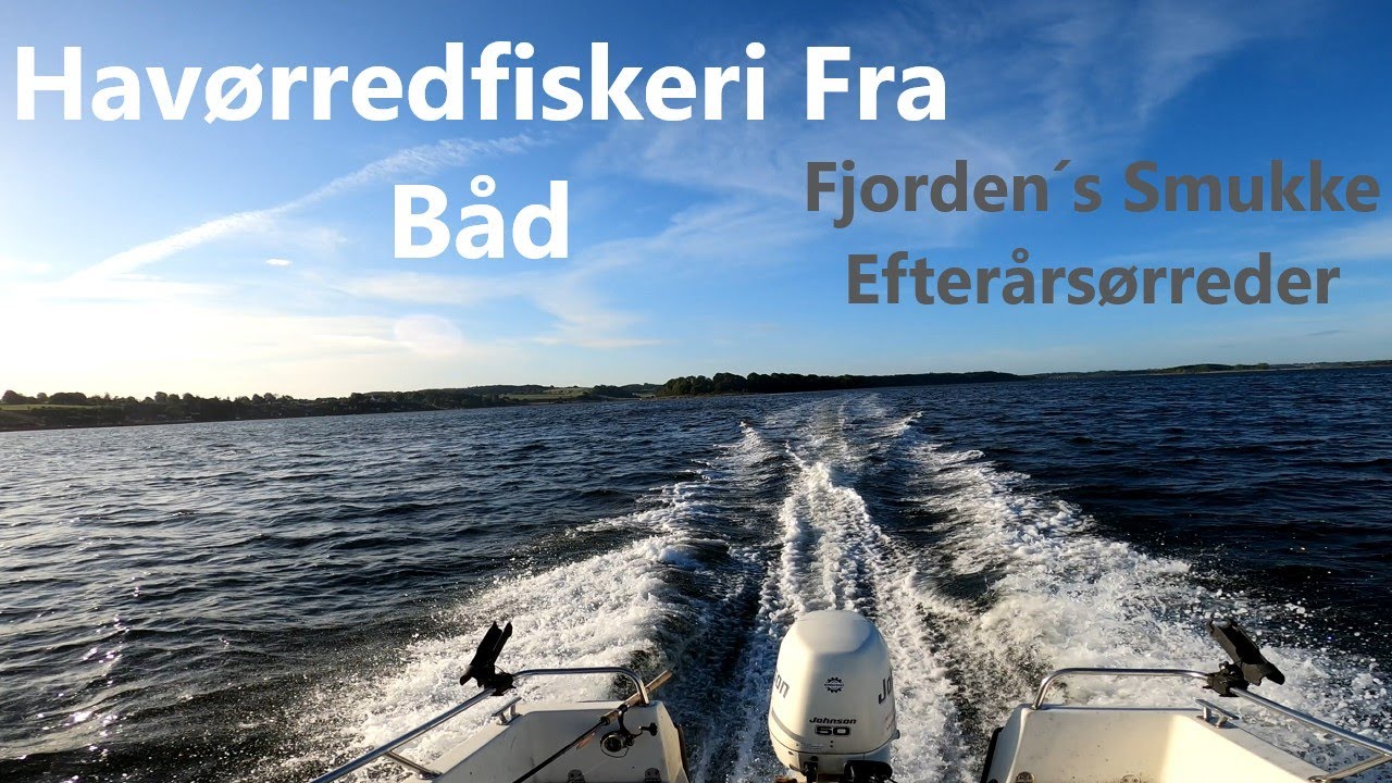 Havørredfiskeri Fra Båd | Fjorden´s Smukke Efterårsørreder