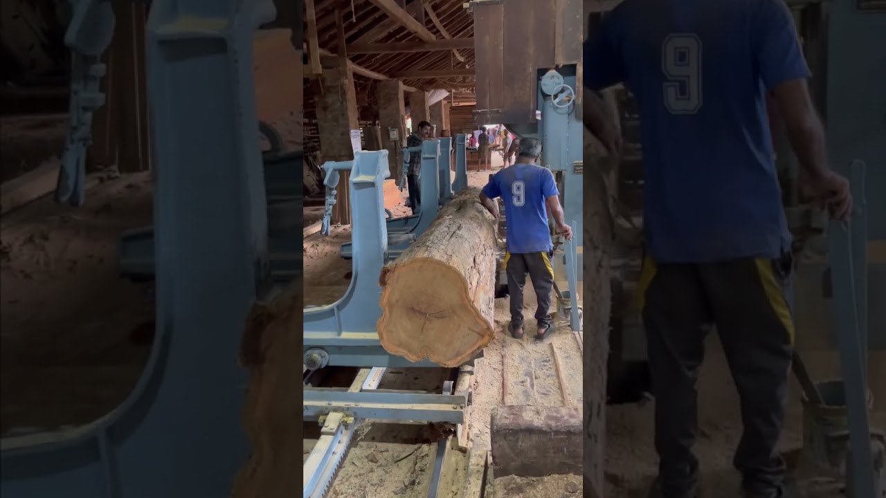 40 feet length nilambur teak sawing 