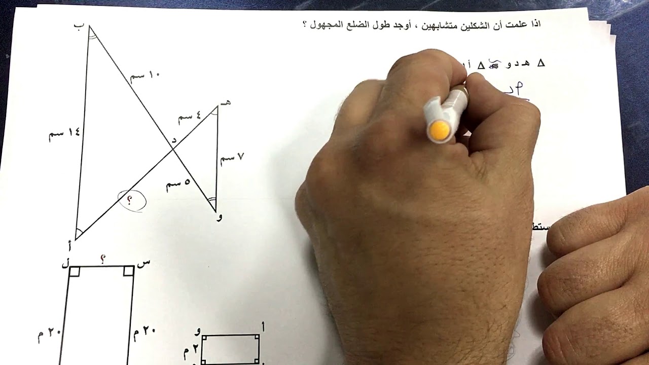 الصف السابع الفصل الثاني بند : ( ١٠-٥ ) الاشكال الهندسية المتشابهة