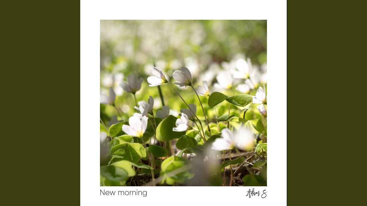 New Morning