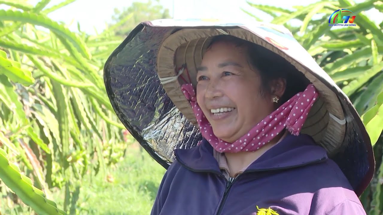 CHÀO NGÀY MỚI 11/3/2026 | BÁO VÀ PTTH LÂM ĐỒNG