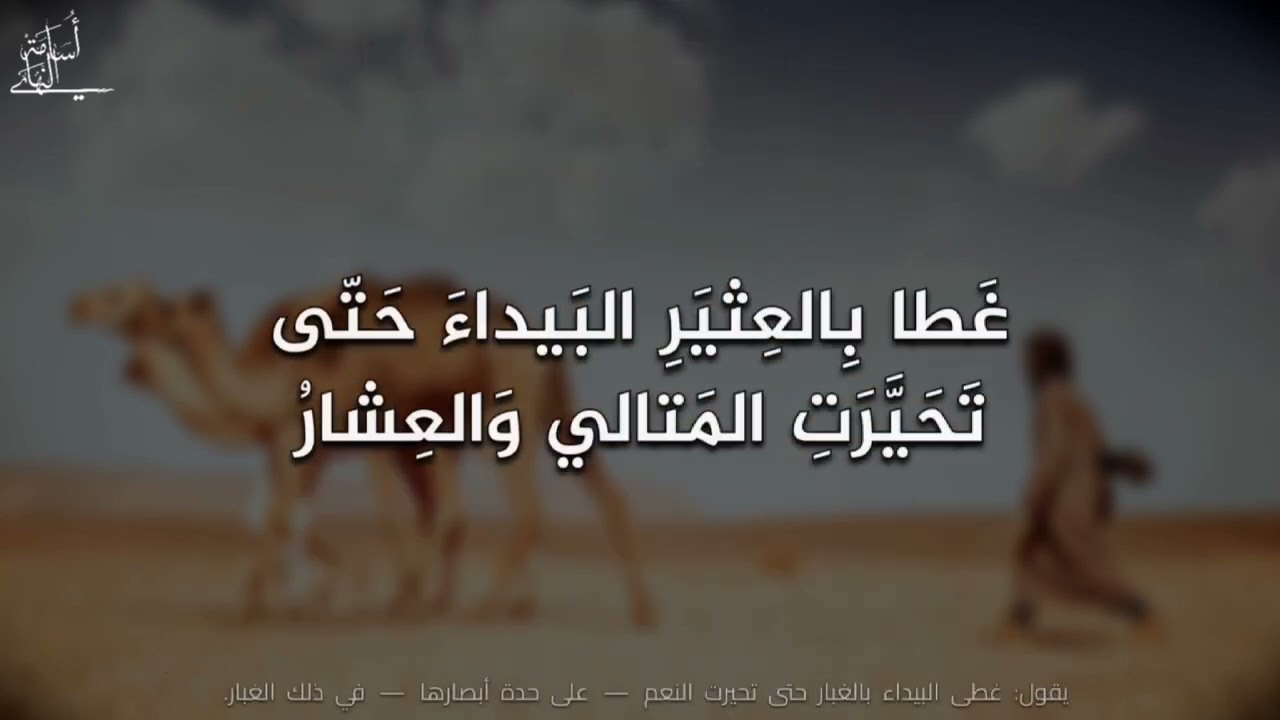 طوال قنًا تطاعنها قصارُ + الشرح | المتنبي | إلقاء: أسامة النهاري