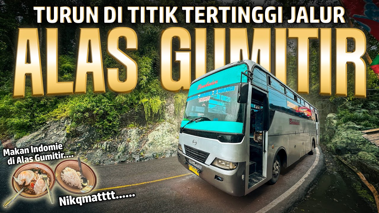 Naik Bus Turun di Jalur Hutan ALAS GUMITIR, Ga Bahaya Ta?