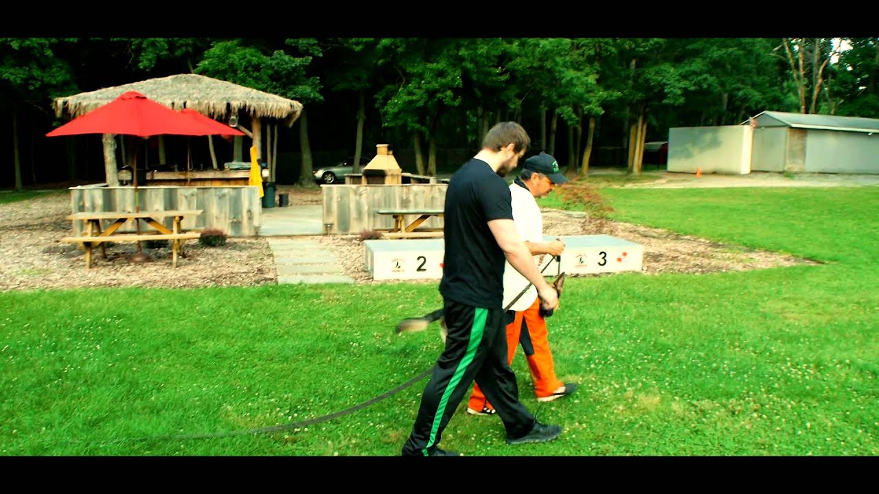 German Shepherd (NIKO) Obedience Training
